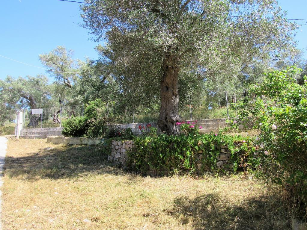Villa Clementine Gaios Exterior photo